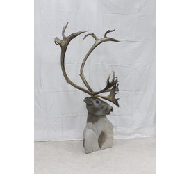 23191 Caribou by Damien Iqualla