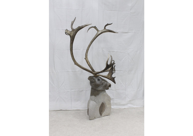 23191 Caribou by Damien Iqualla (21-F)