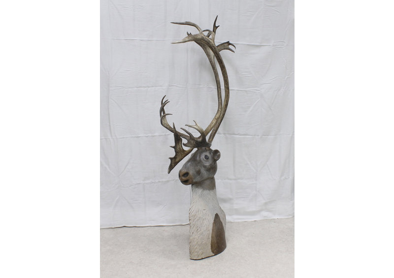 23191 Caribou by Damien Iqualla (21-F)