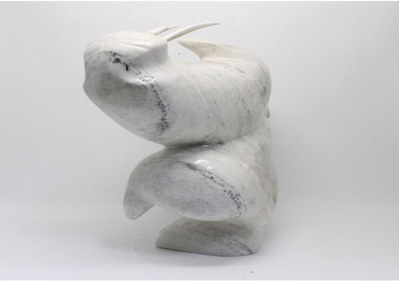 18780 Dancing walrus Aqjangajuk Shaa