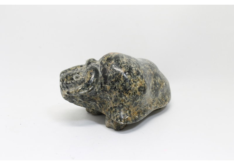 19169 Musk ox by Jonasie Faber