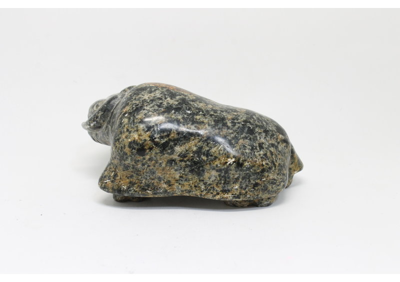 19169 Musk ox by Jonasie Faber