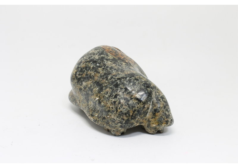 19169 Musk ox by Jonasie Faber