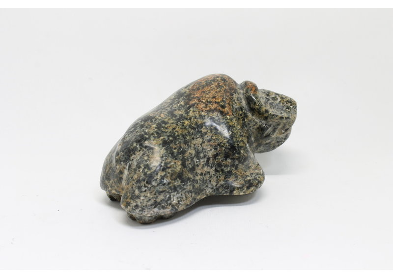 19169 Musk ox by Jonasie Faber