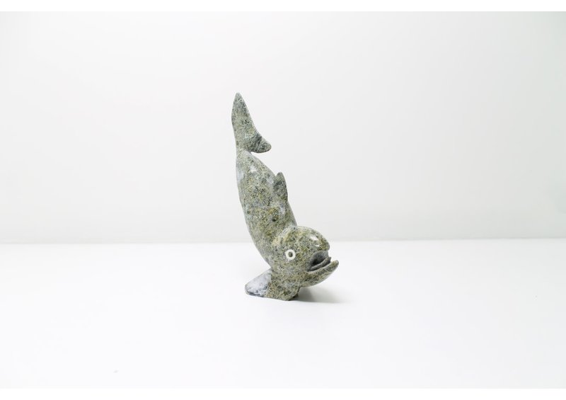 8682 Fish by Toonoo Sharky