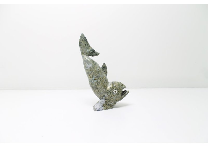 8682 Fish by Toonoo Sharky