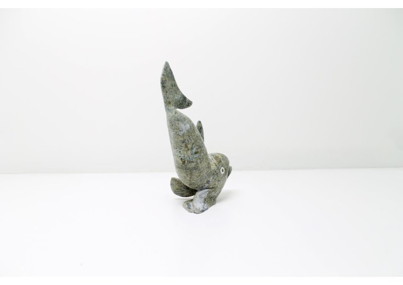 8682 Fish by Toonoo Sharky