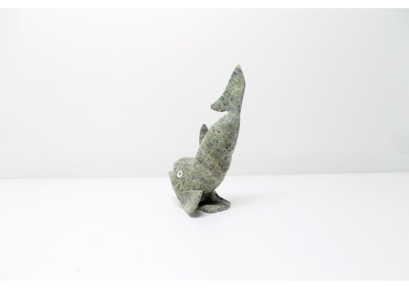 8682 Fish by Toonoo Sharky