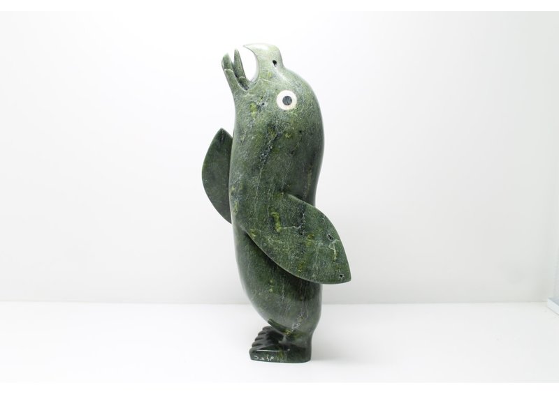 11492 Transformation by Toonoo Sharky