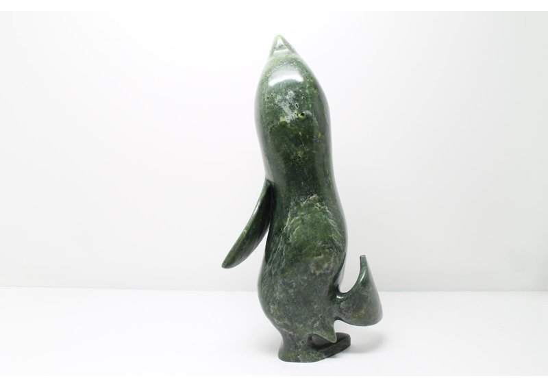 11492 Transformation by Toonoo Sharky