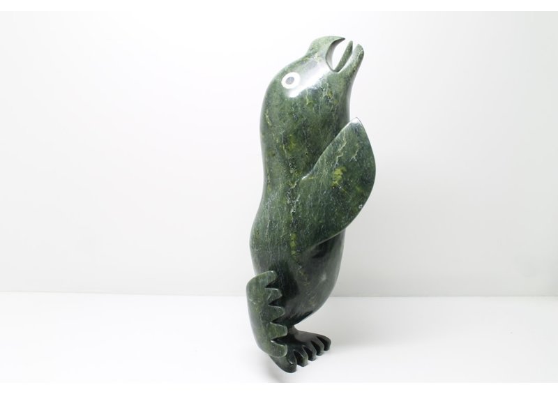 11492 Transformation by Toonoo Sharky