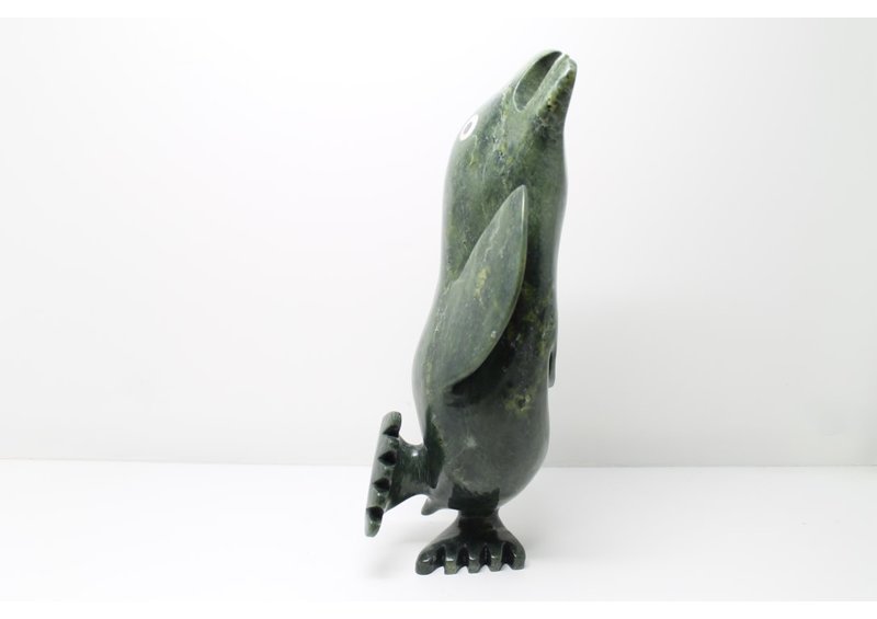 11492 Transformation by Toonoo Sharky