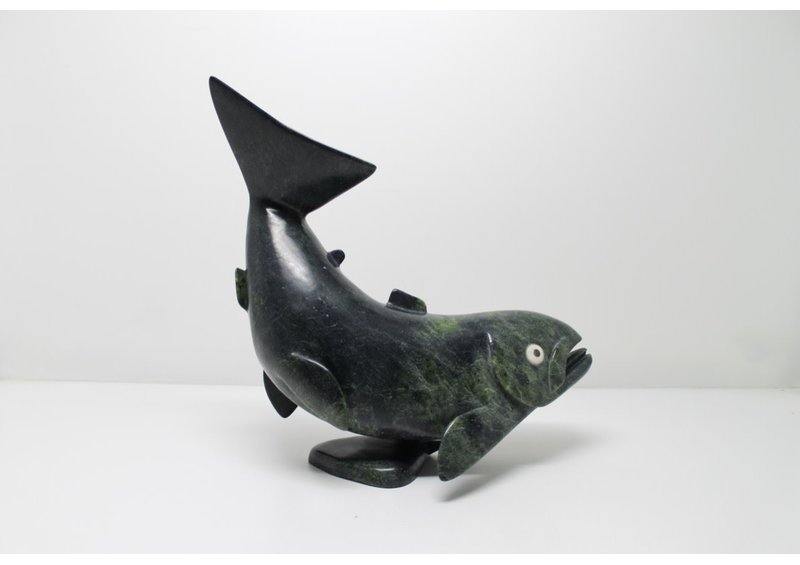 11626 Char by Toonoo Sharky