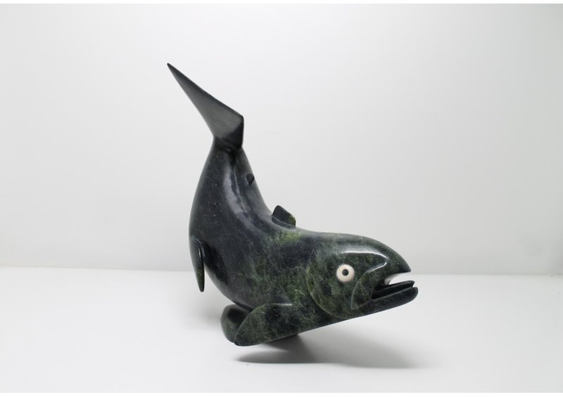 11626 Char by Toonoo Sharky