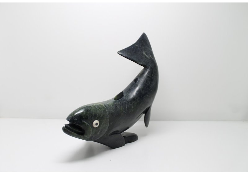 11626 Char by Toonoo Sharky