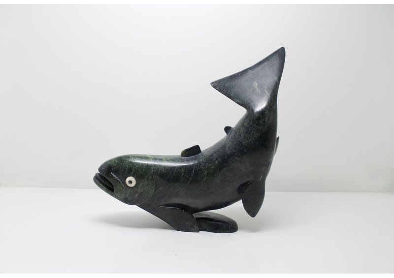 11626 Char by Toonoo Sharky