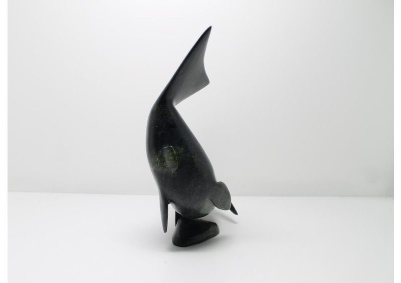 11626 Char by Toonoo Sharky