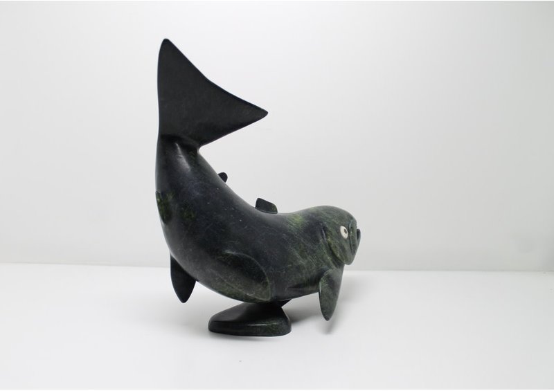 11626 Char by Toonoo Sharky