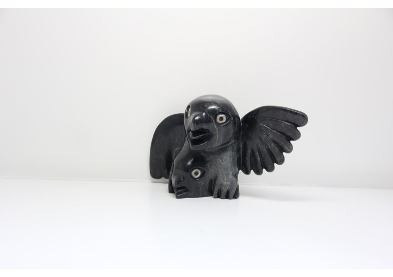 23778 Bird by Toonoo Sharky