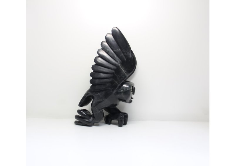 23799 Bird by Toonoo Sharky