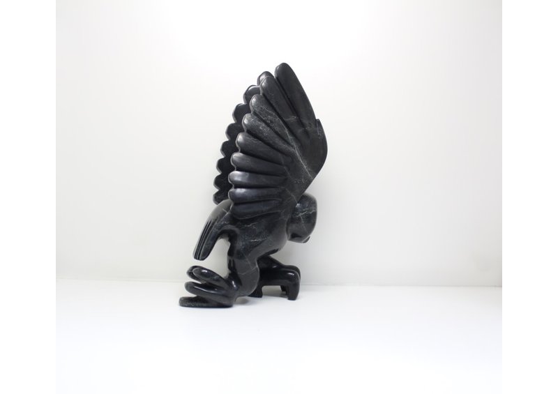 23799 Bird by Toonoo Sharky