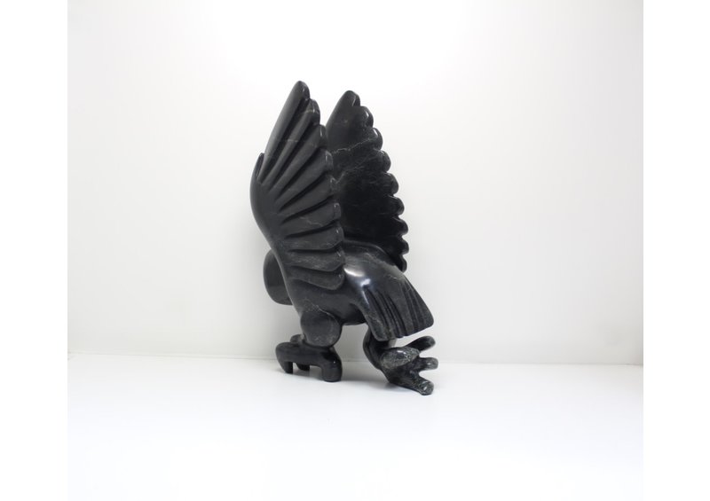 23799 Bird by Toonoo Sharky