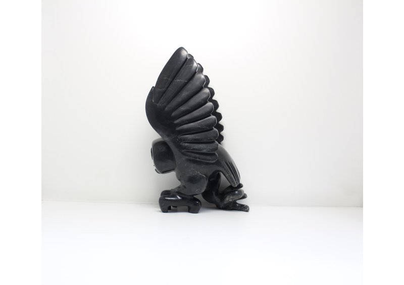 23799 Bird by Toonoo Sharky