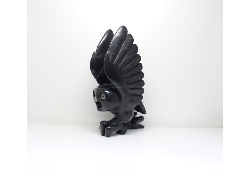 23799 Bird by Toonoo Sharky