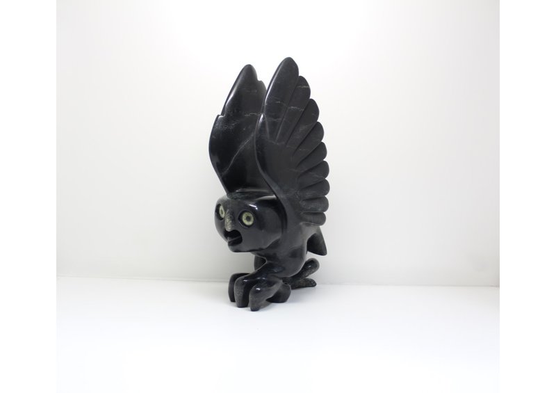 23799 Bird by Toonoo Sharky