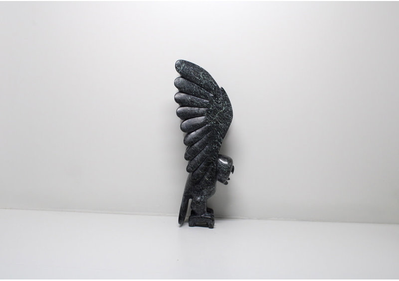 23829 Owl by Toonoo Sharky