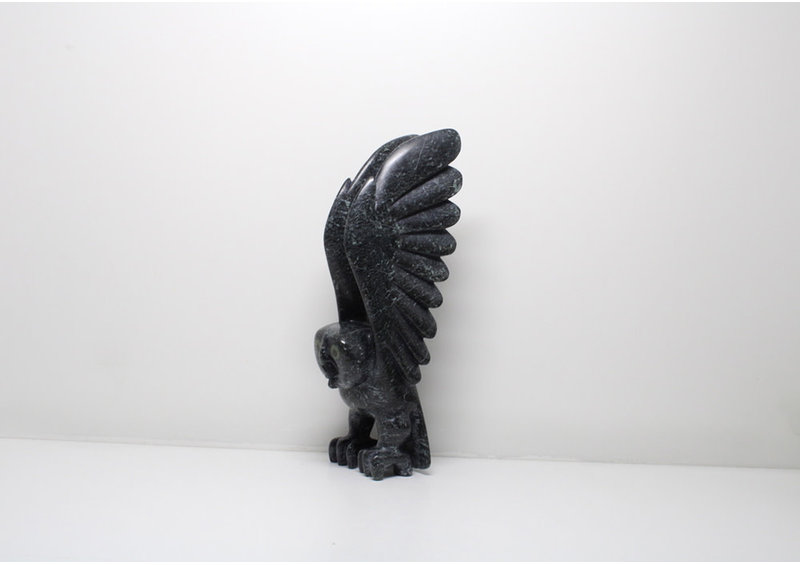 23829 Owl by Toonoo Sharky