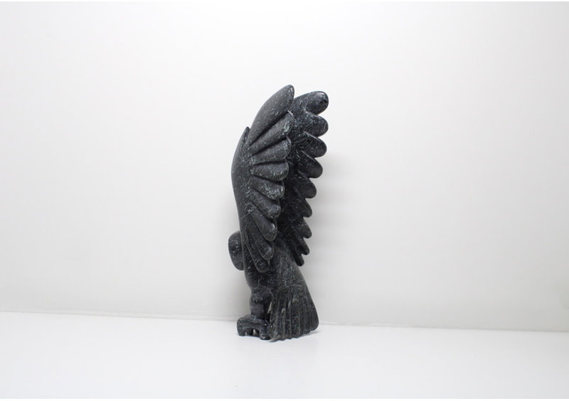 23829 Owl by Toonoo Sharky