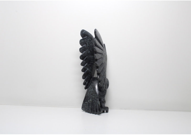 23829 Owl by Toonoo Sharky