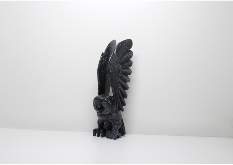 23829 Owl by Toonoo Sharky