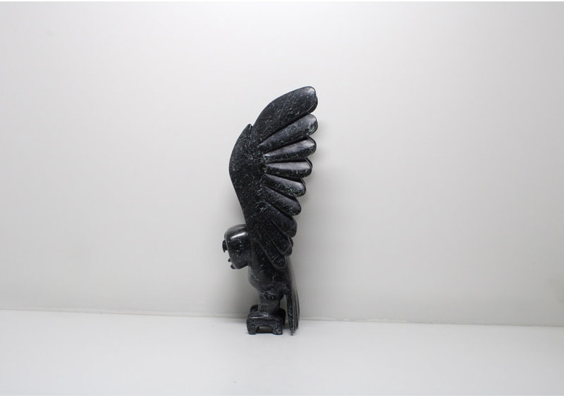 23829 Owl by Toonoo Sharky