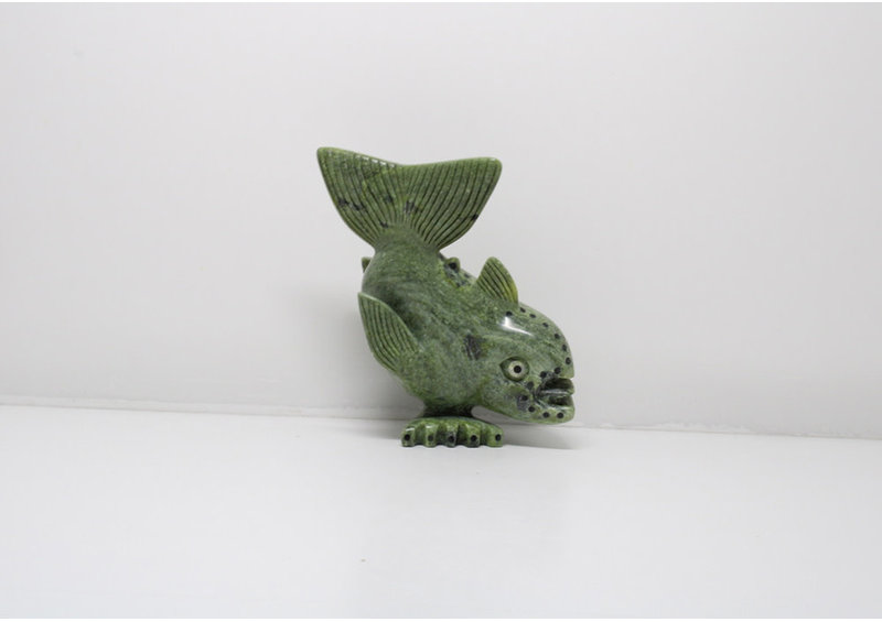 23826 Fish by Toonoo Sharky