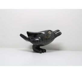 23943 Dancing bird by Toonoo Sharky