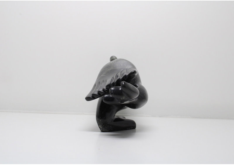 23943 Dancing bird by Toonoo Sharky