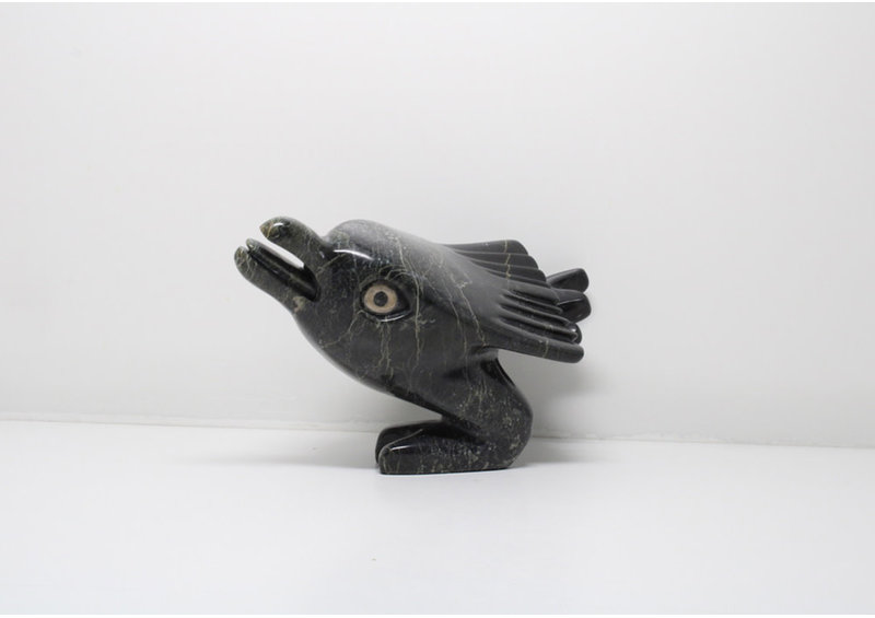 23943 Dancing bird by Toonoo Sharky