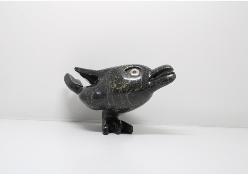 23943 Dancing bird by Toonoo Sharky