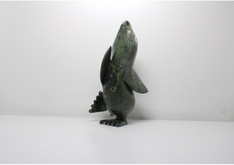 11492 Transformation by Toonoo Sharky