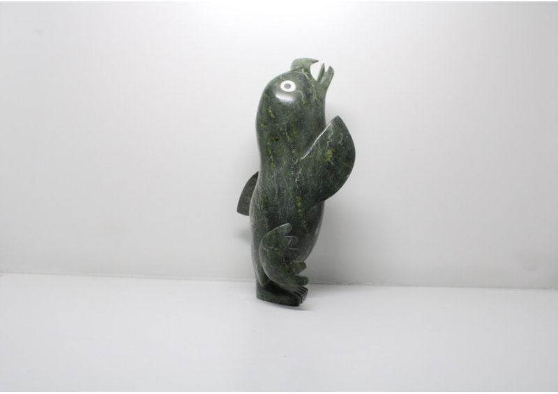 11492 Transformation by Toonoo Sharky