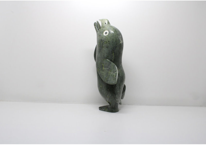 11492 Transformation by Toonoo Sharky