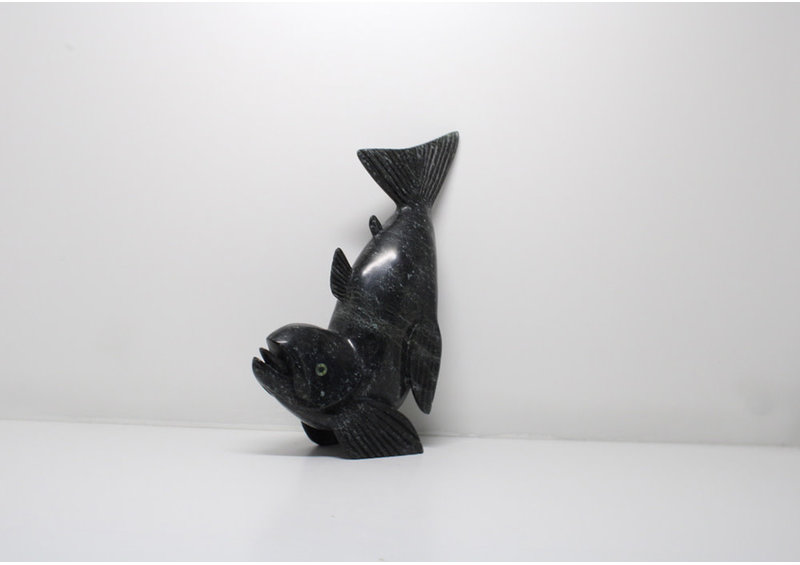 23939 Arctic char by Toonoo Sharky