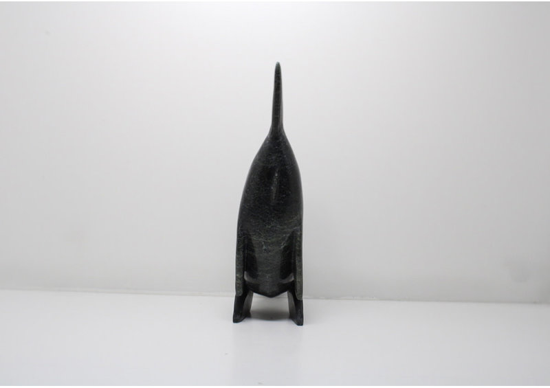 23939 Arctic char by Toonoo Sharky