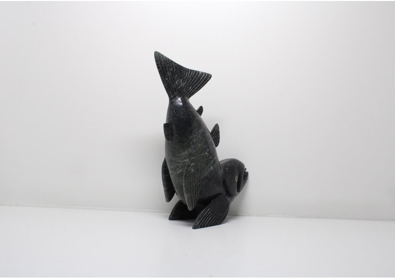 23939 Arctic char by Toonoo Sharky