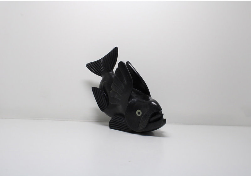 23831 Arctic char by Toonoo Sharky