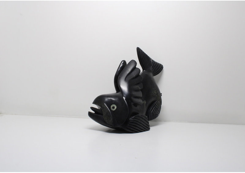 23831 Arctic char by Toonoo Sharky