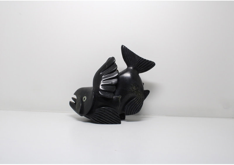 23831 Arctic char by Toonoo Sharky