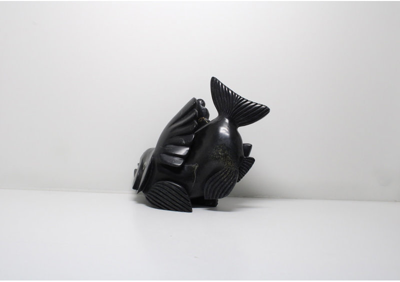 23831 Arctic char by Toonoo Sharky